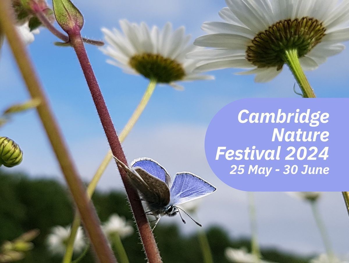 Cambridge Nature Festival 2024 Launch Event at Logans Meadow Cambridge