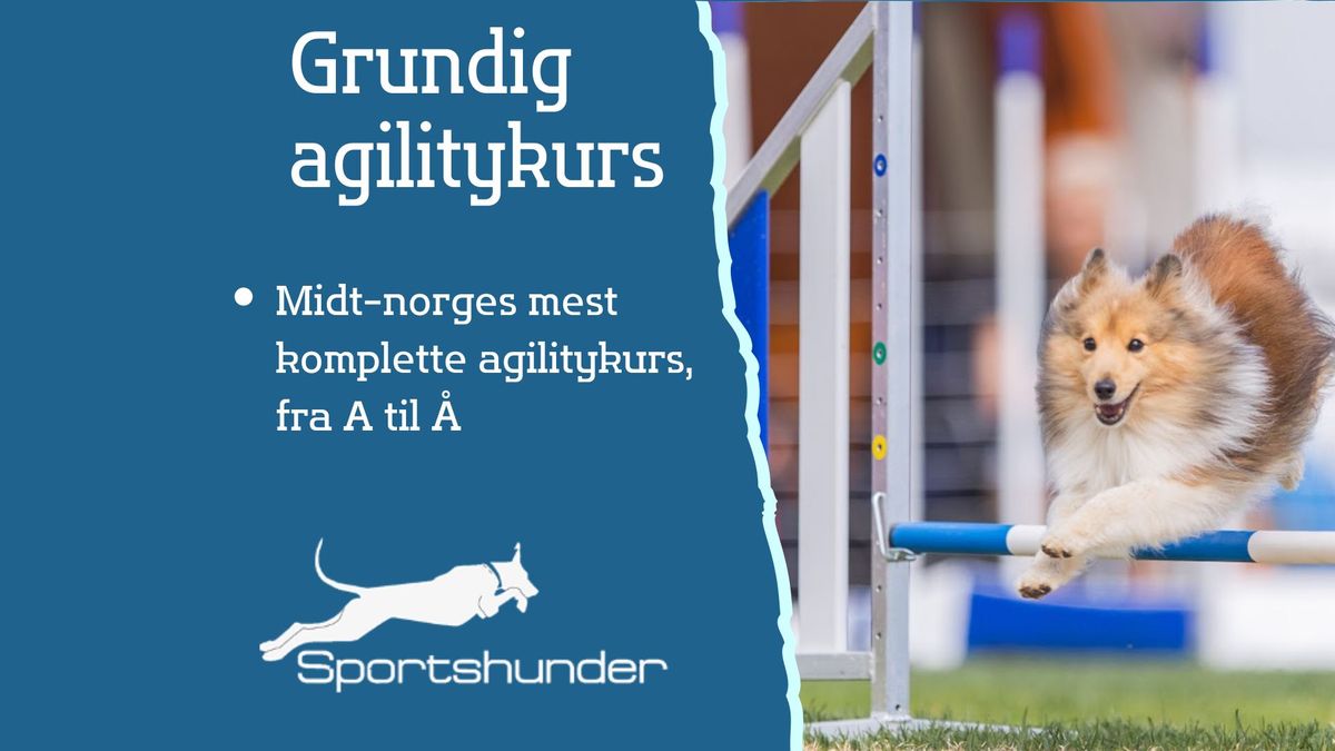 Grundig agilitykurs