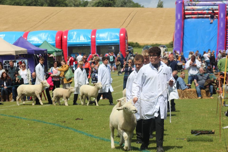 Brymore Country Fair