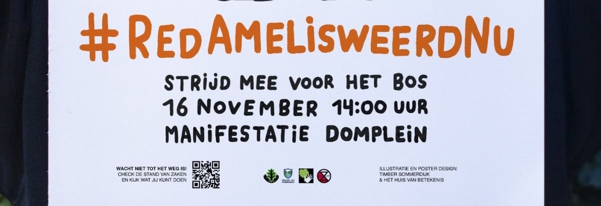 Manifestatie Domplein