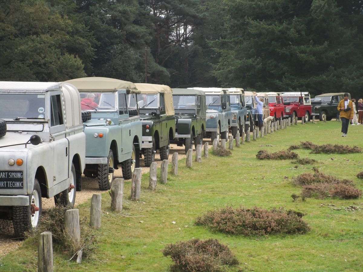 New Forest - Scenic Drive 