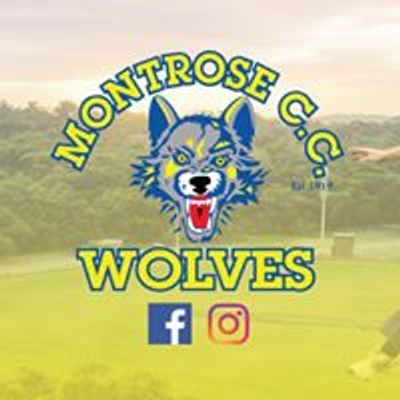 Montrose Cricket Club