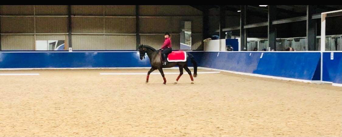 Christmas Dressage Show