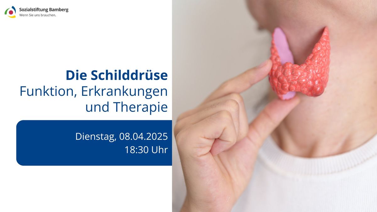 Die Schilddr\u00fcse: Funktion, Erkrankungen und Therapie