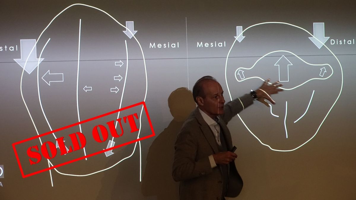 ANTERIOR BIO-ESTHETIC RESTORATIONS - Master Program Mod. I