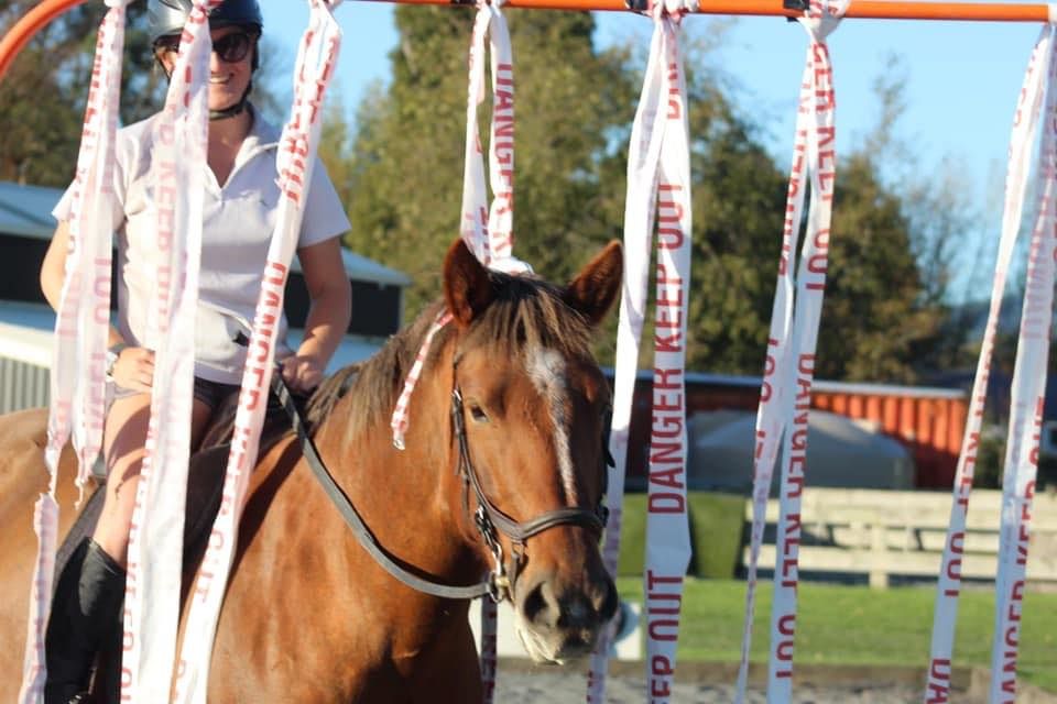 TREC New Year Obstacle Fun Sessions 