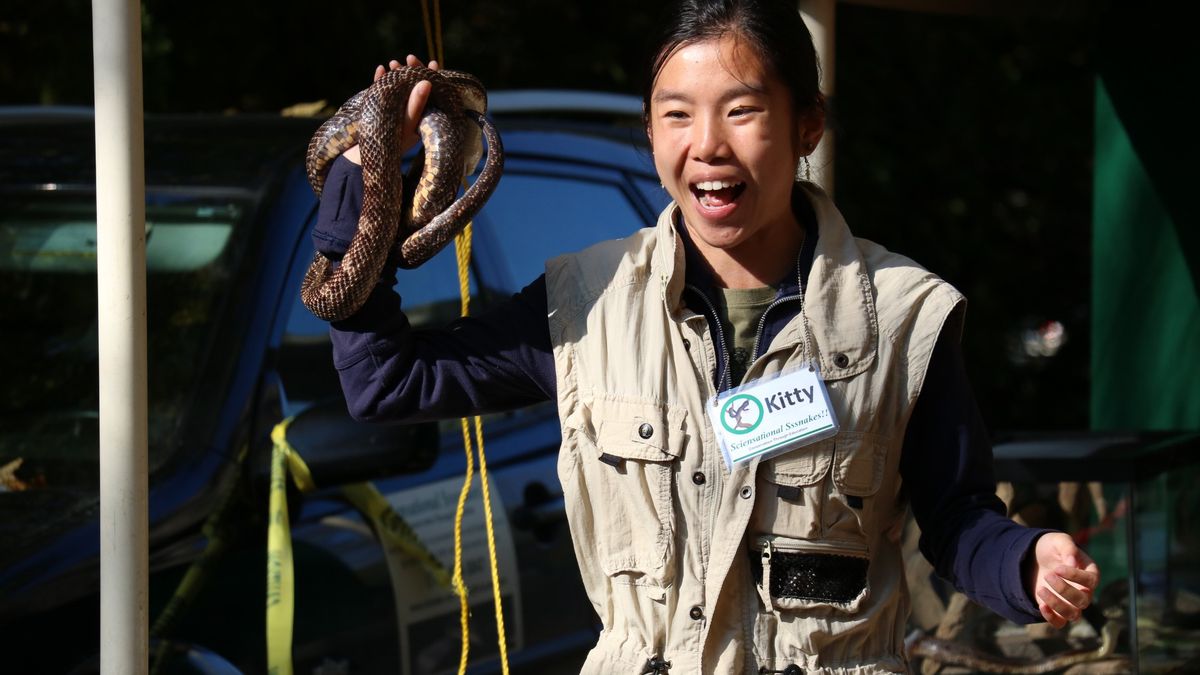 Slimey or Scaley? Presented by Sciensational Sssnakes!! at Dalewood Conservation Area