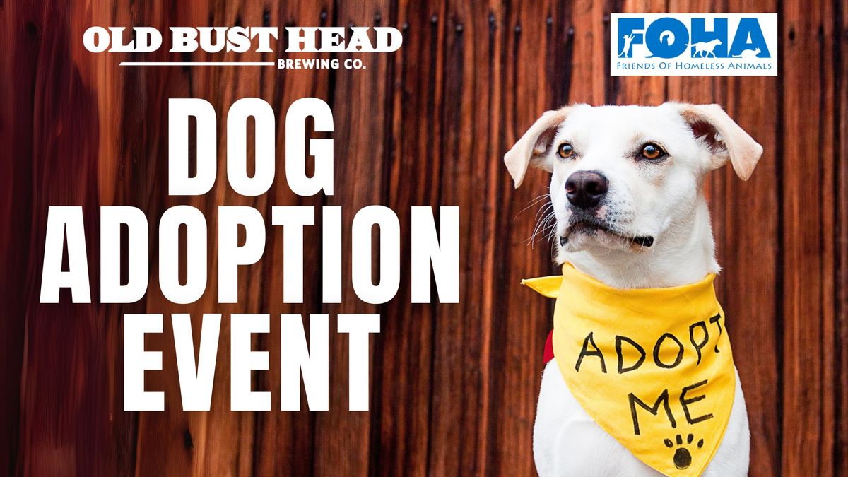 Dog Adoption Event 