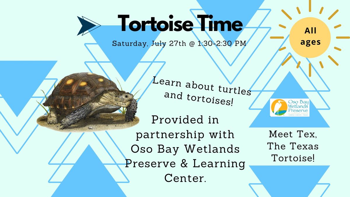 Tortoise Time