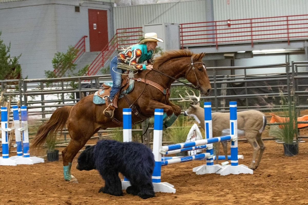 Hannah Howe Horsemanship Clinic