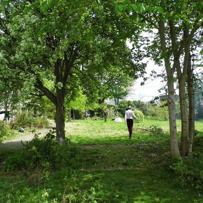 Transition Edinburgh South