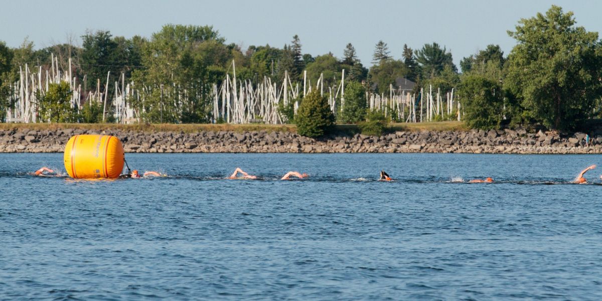 Bushtukah Bring on the Bay Swim