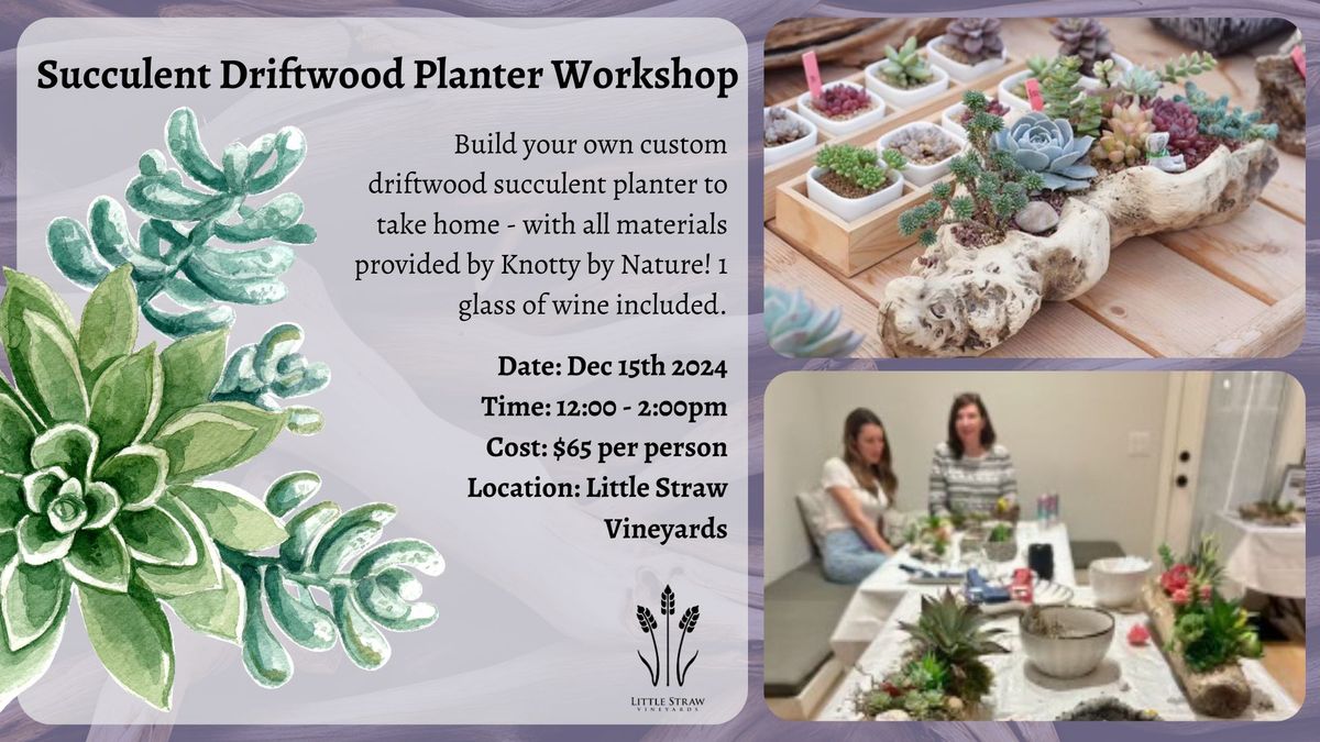 Driftwood Succulent Planter Workshop