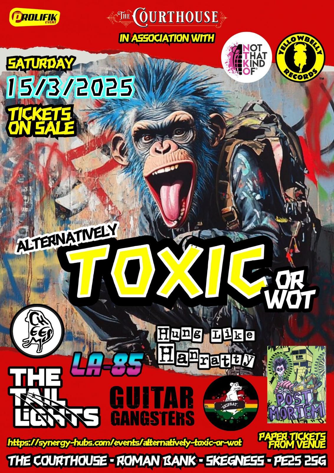 Alternatively Toxic or Wot - Original Alternative Music All Dayer at the Courthouse, Skegness