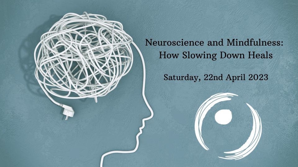 Neuroscience and Mindfulness: How Slowing Down Heals