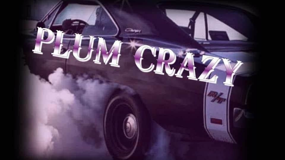 Plum Crazy Back to Rock The Turn