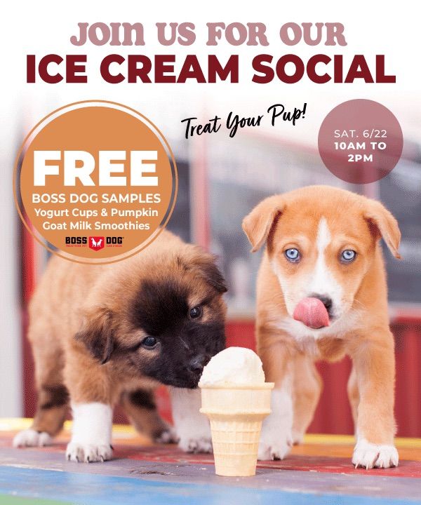 Ice Cream Social at Benny\u2019s PET DEPOT 