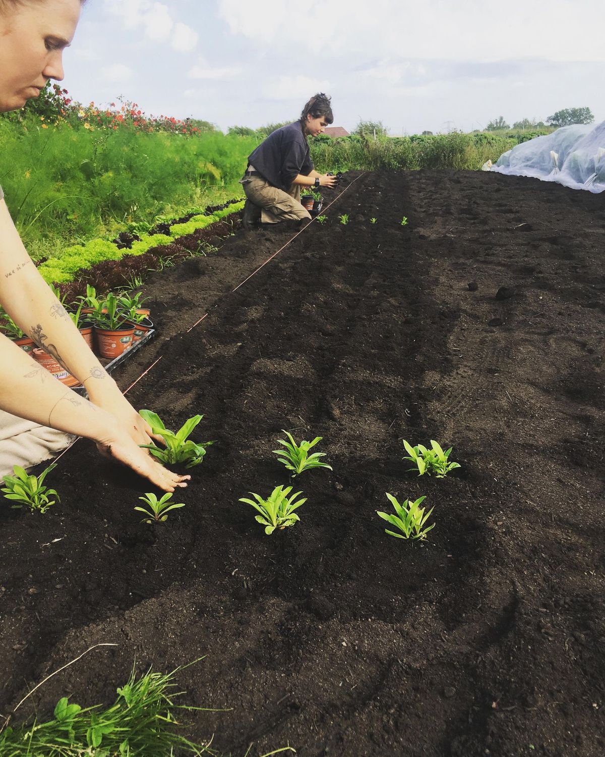 Farmer Fitness - Tidligt for\u00e5r i H\u00f8steriet 