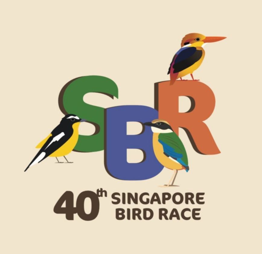  40th NSS Singapore Bird Race