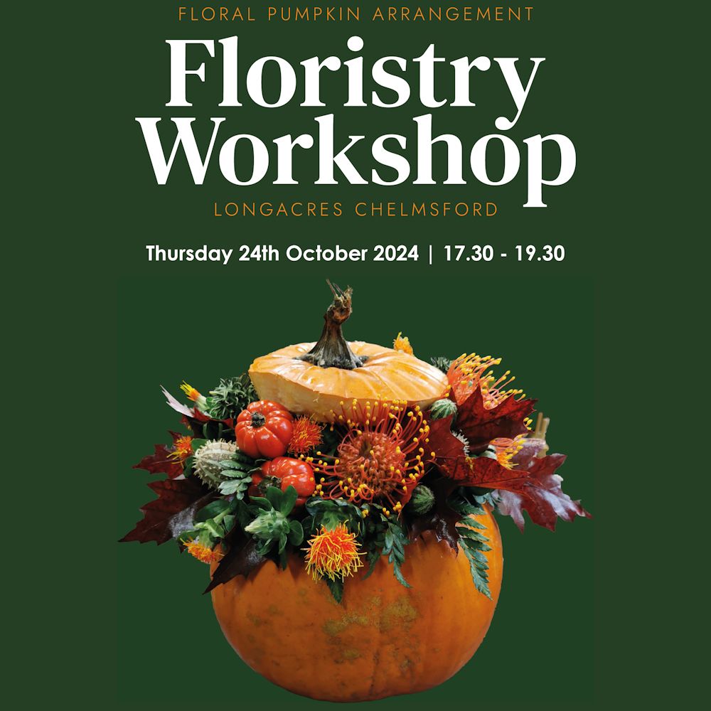 Floral Pumpkin Arrangement Workshop