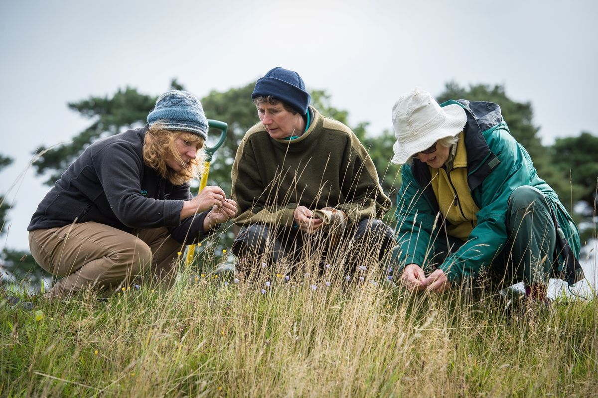 Wildlife recording walk - Amble to Warkworth circular