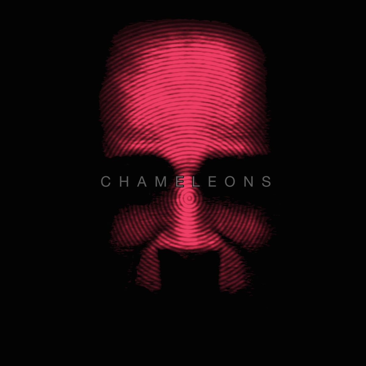 The Chameleons