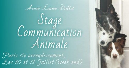 Stage Communication Animale Paris