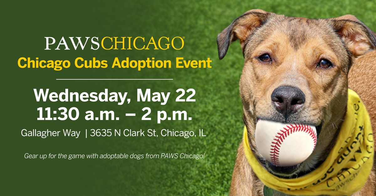 Chicago Cubs Adoption Event
