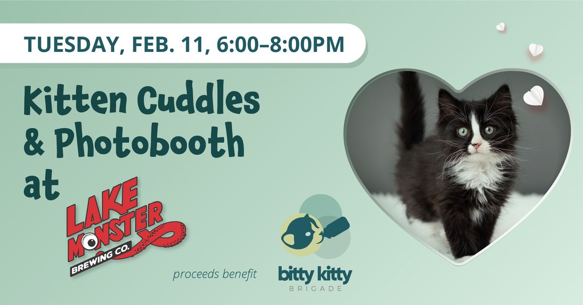 Kitten Kissing Booth & Cuddles