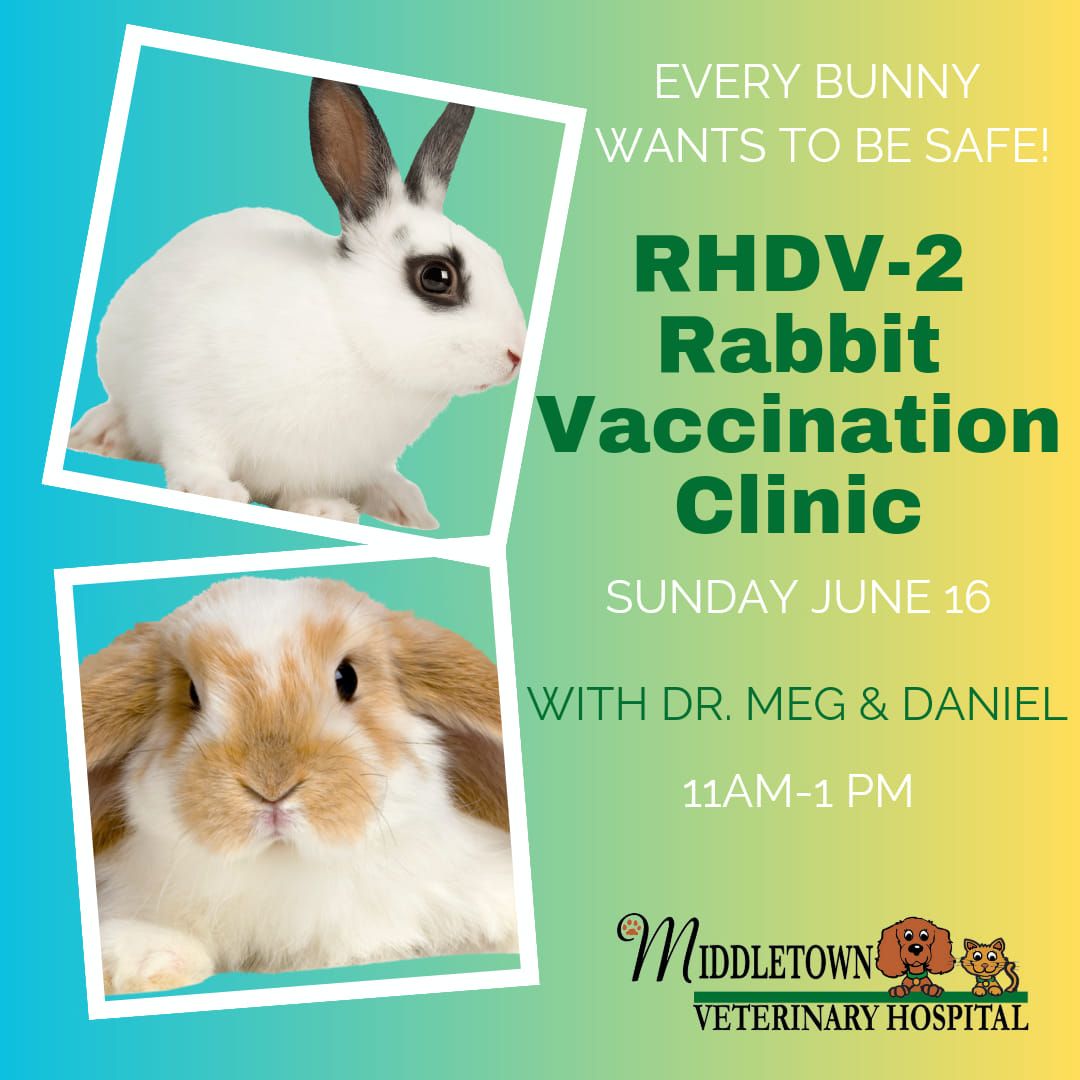 Rabbit Vaccine Clinic