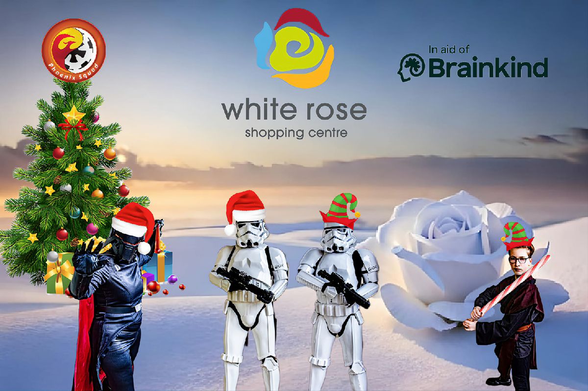 White Rose, it's beginning to look a lot like Christmas.