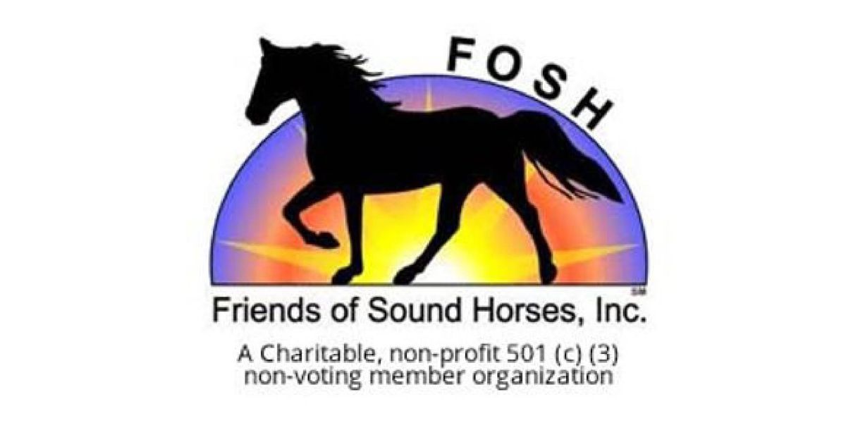 Just Gait - Carl Bledsoe Clinic - Friends of Sound Horses