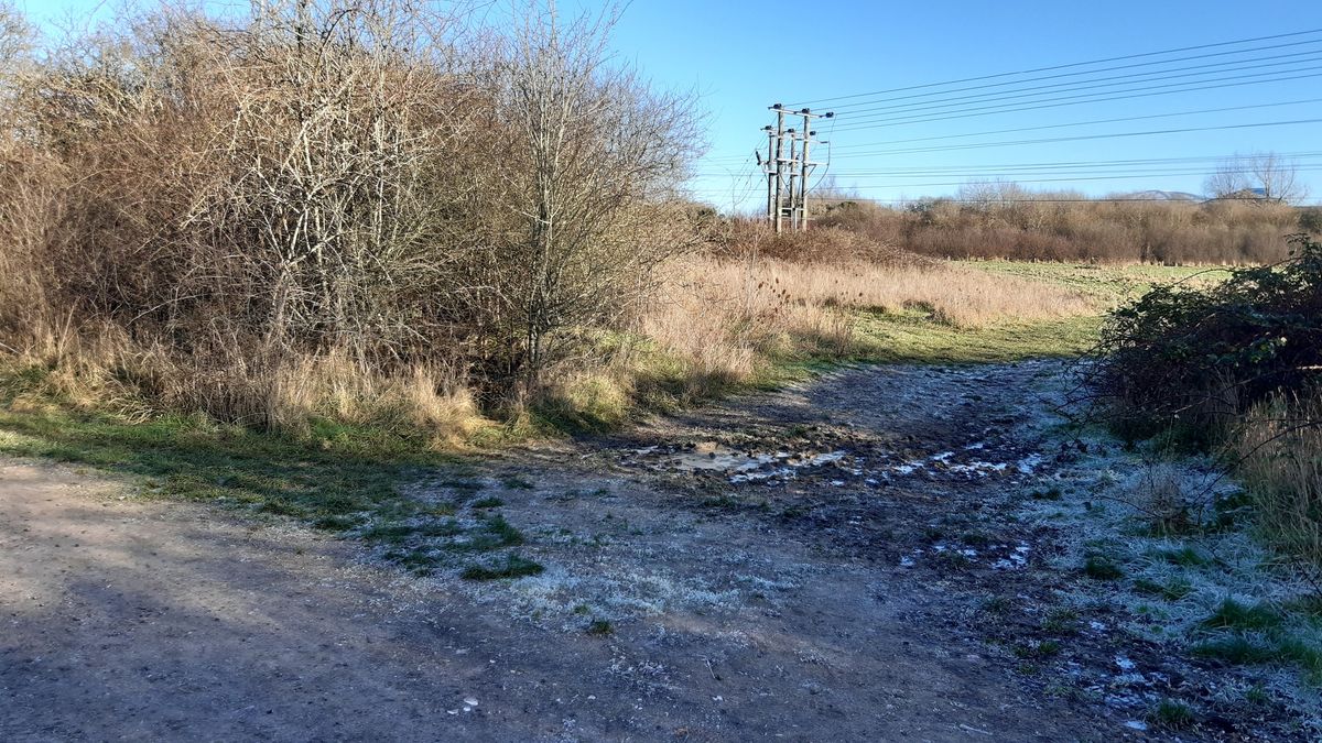 Clearing Vegetation on NCN45 link Volunteering Day