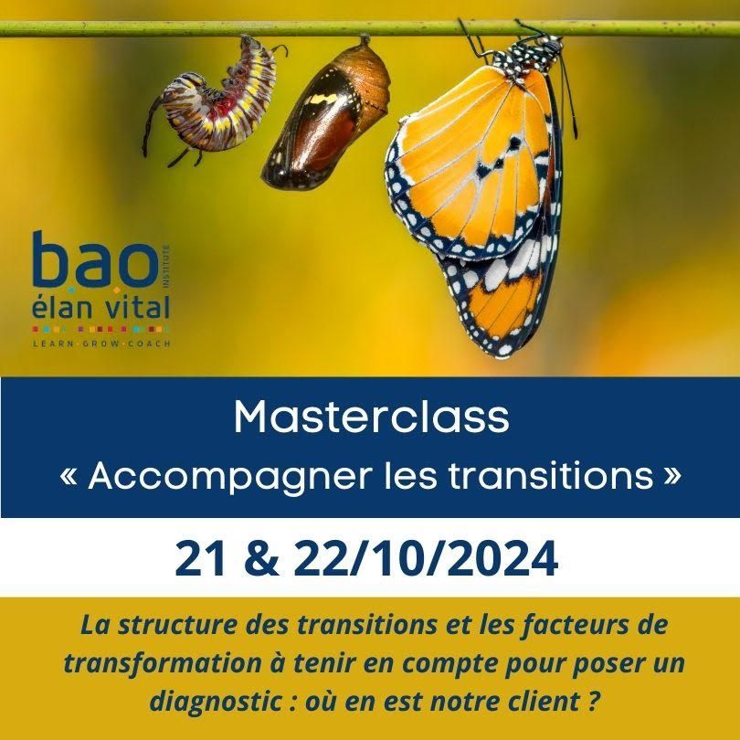 Accompagner les transitions : masterclasse pour coachs