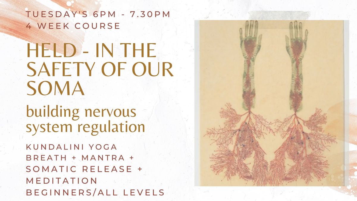 HELD IN THE SAFETY OF OUR SOMA -  building nervous system regulation Beginners\/All levels