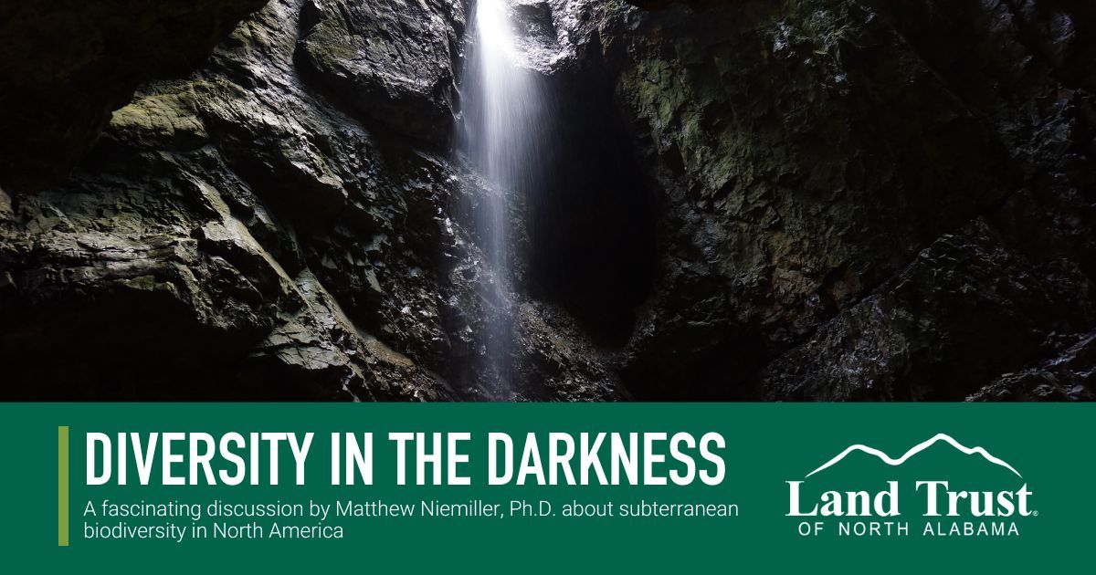 Diversity in the Darkness: Addressing Gaps in our Knowledge of Subterranean Biodiversity in North Am