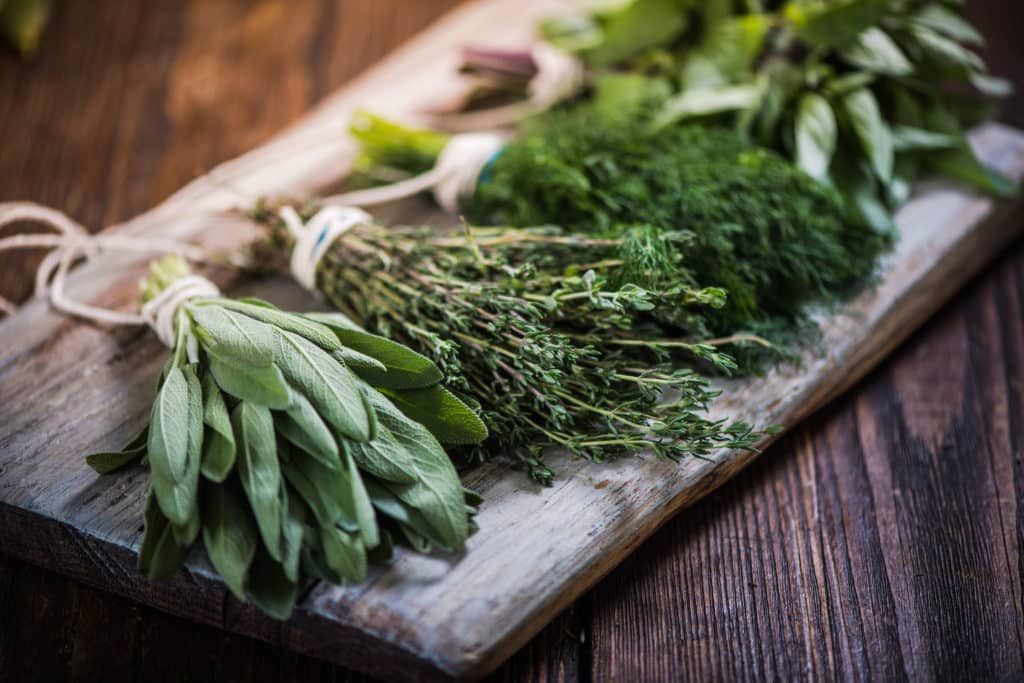 Western Reserve Herb Society Herb Fair