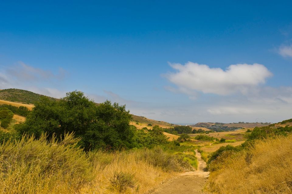 Wilderness Access Day: Bommer Canyon