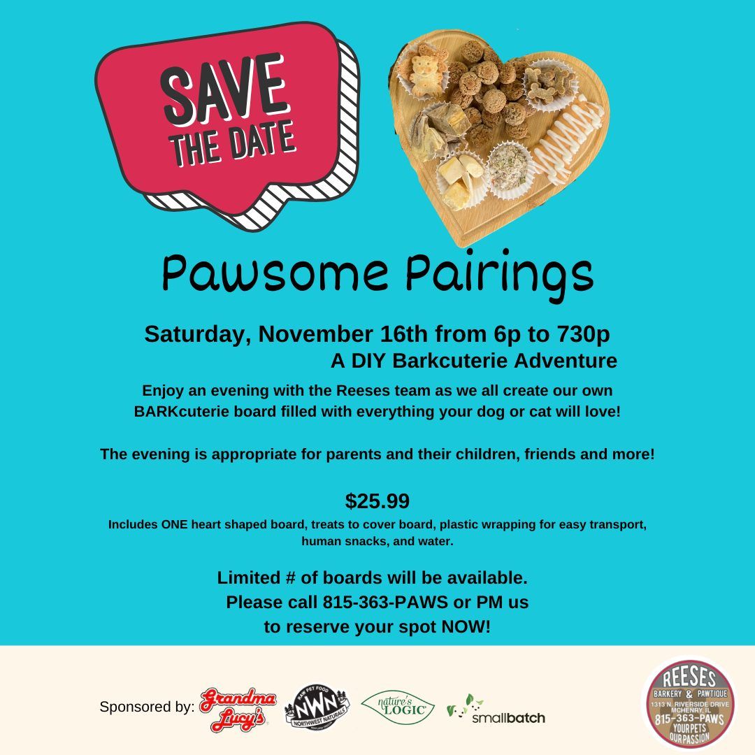 PAWsome Pairings: A DIY BARKcuterie Adventure