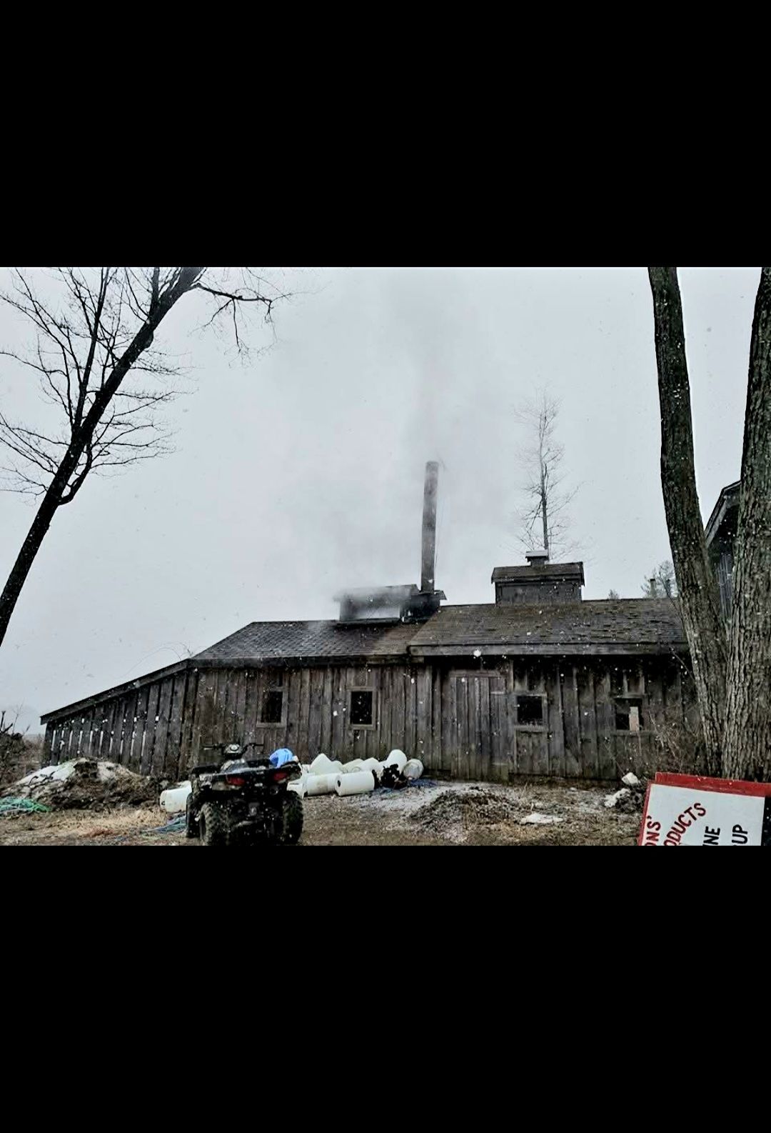 Maple Weekend at Parsons