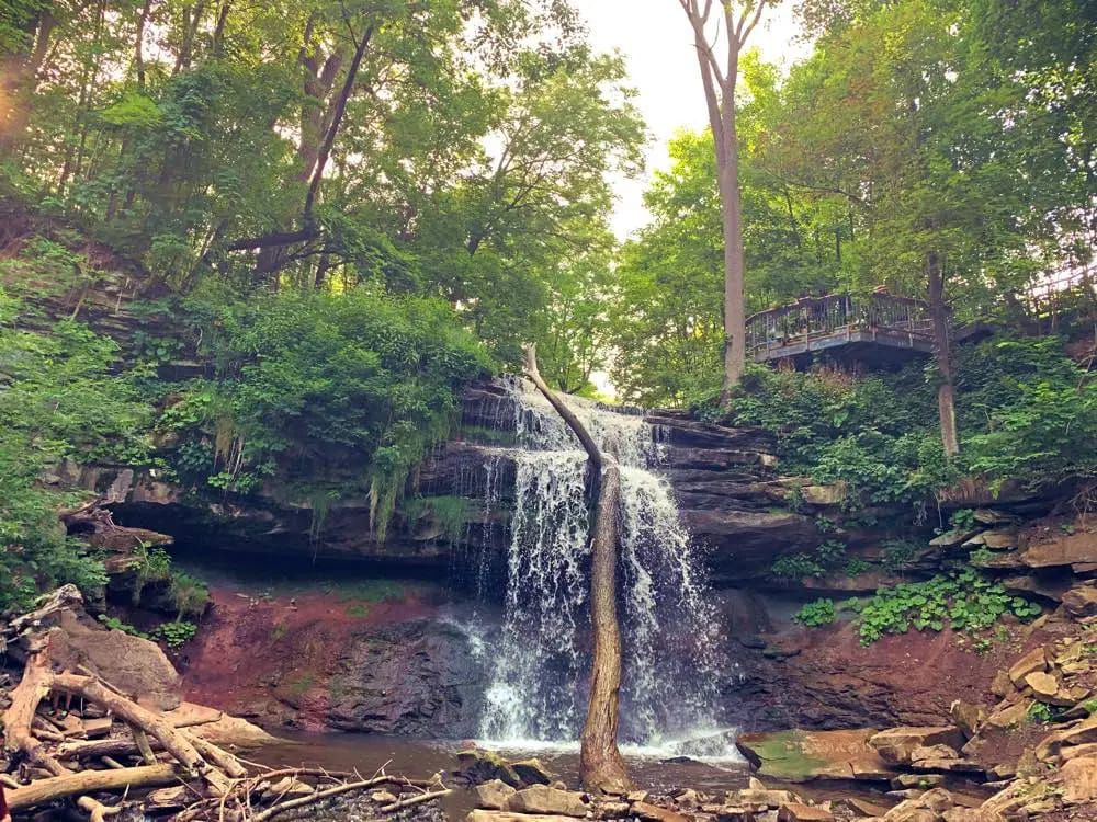 (HAMILTON) Hilly Hike of 2024 @ Smokey Hallow Waterfalls & Mindful Meditation & Forest Bathing