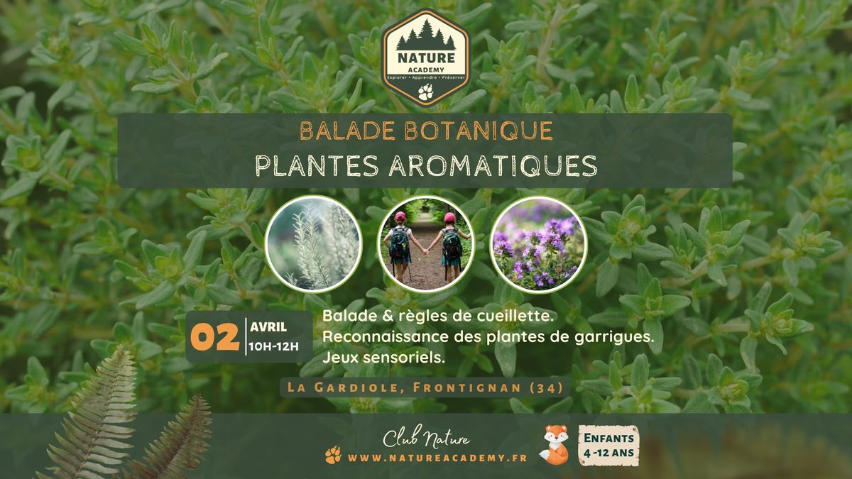 \ud83e\uddd2\ud83c\udffb #10 | Balade Botanique - Plantes Aromatiques | Club NATURE ACADEMY