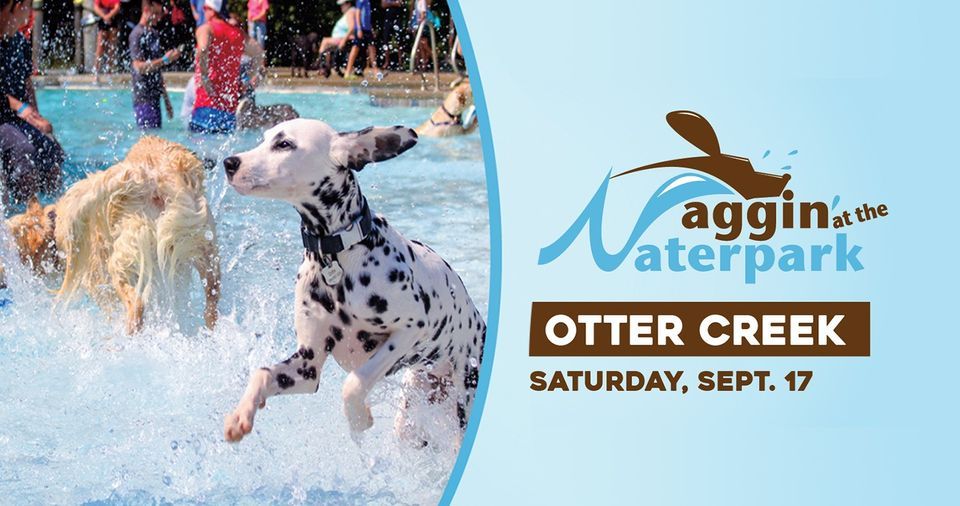 Waggin\u2019 at the Waterpark \u2013 Otter Creek