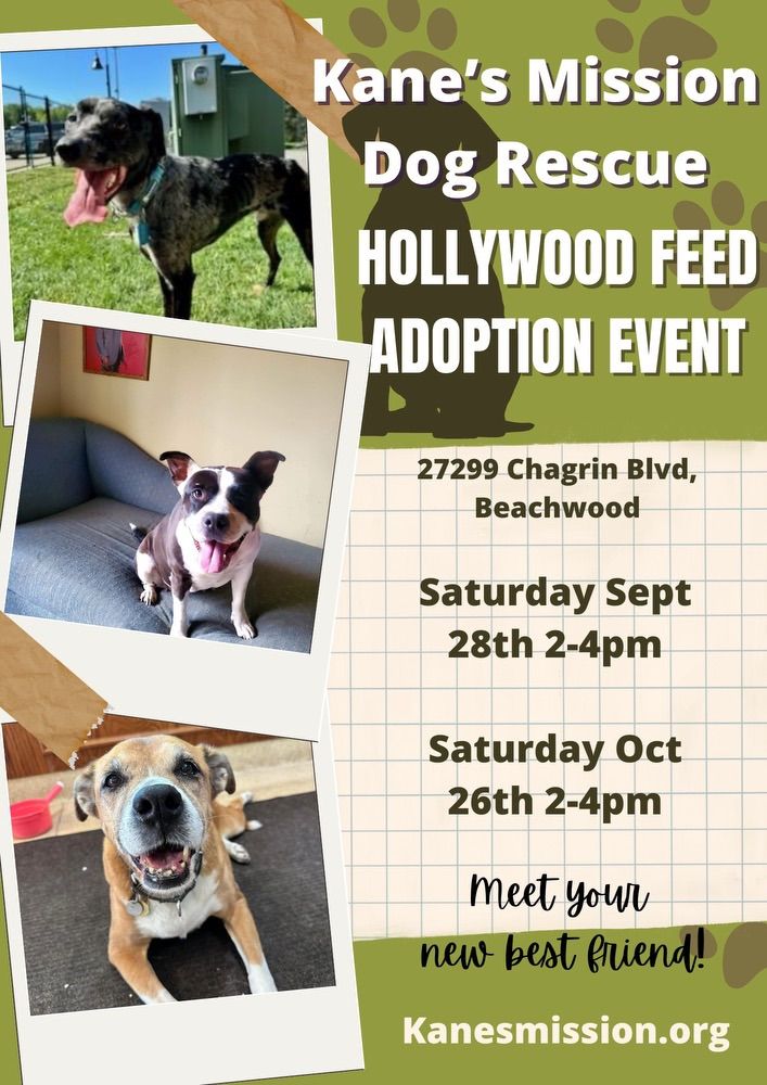 Adoption Event at Hollywood Feed in Beachwood!