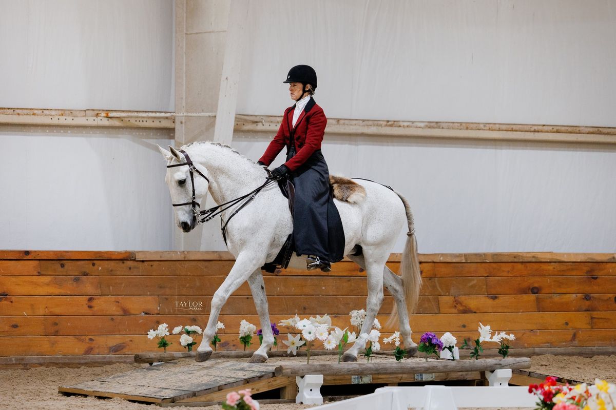 A Weekend of Working Equitation! 