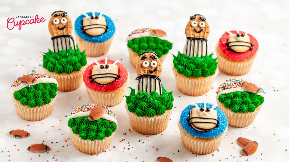 Super Bowl Inspired Cupcake Decorating Workshop