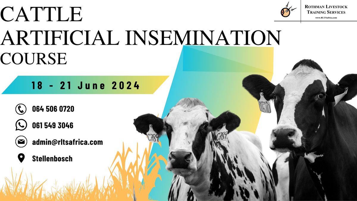 Cattle Artificial Insemination Course