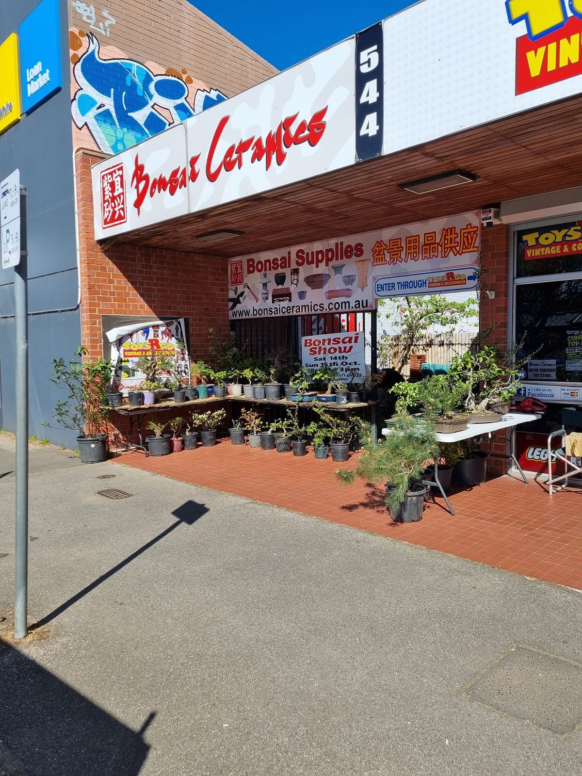 Bonsai Tree Sales Day