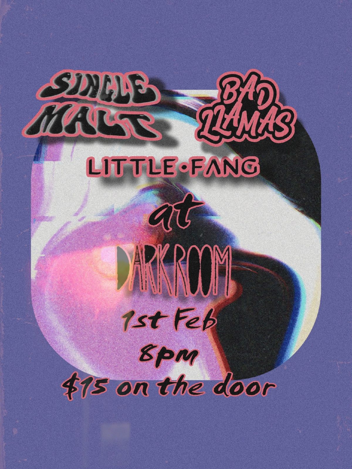 Bad Llamas, Little Fang & Single Malt - LIVE AT THE DARKROOM