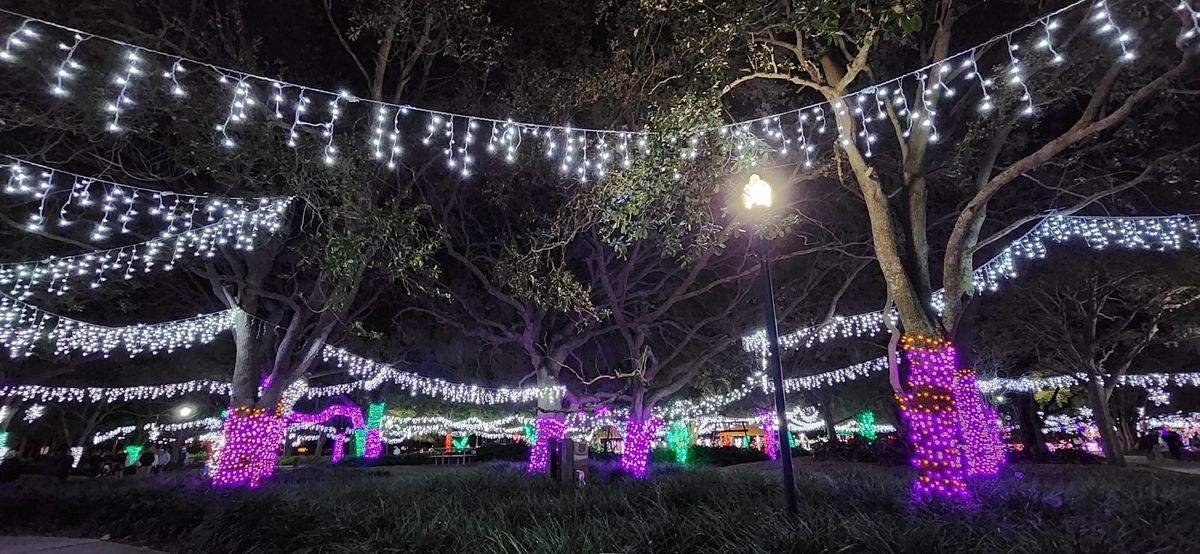 Holiday Lights & Carnival Rides in Largo Central Park